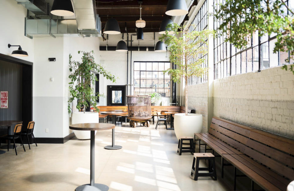 The Hall Olive and Oak